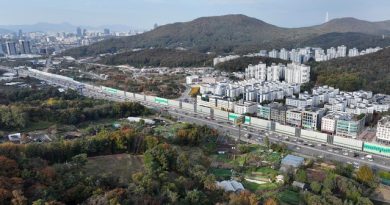 강남 2만가구 공급 소식에…비닐하우스 빼곡한 내곡동 “연초부터 땅값 올라”